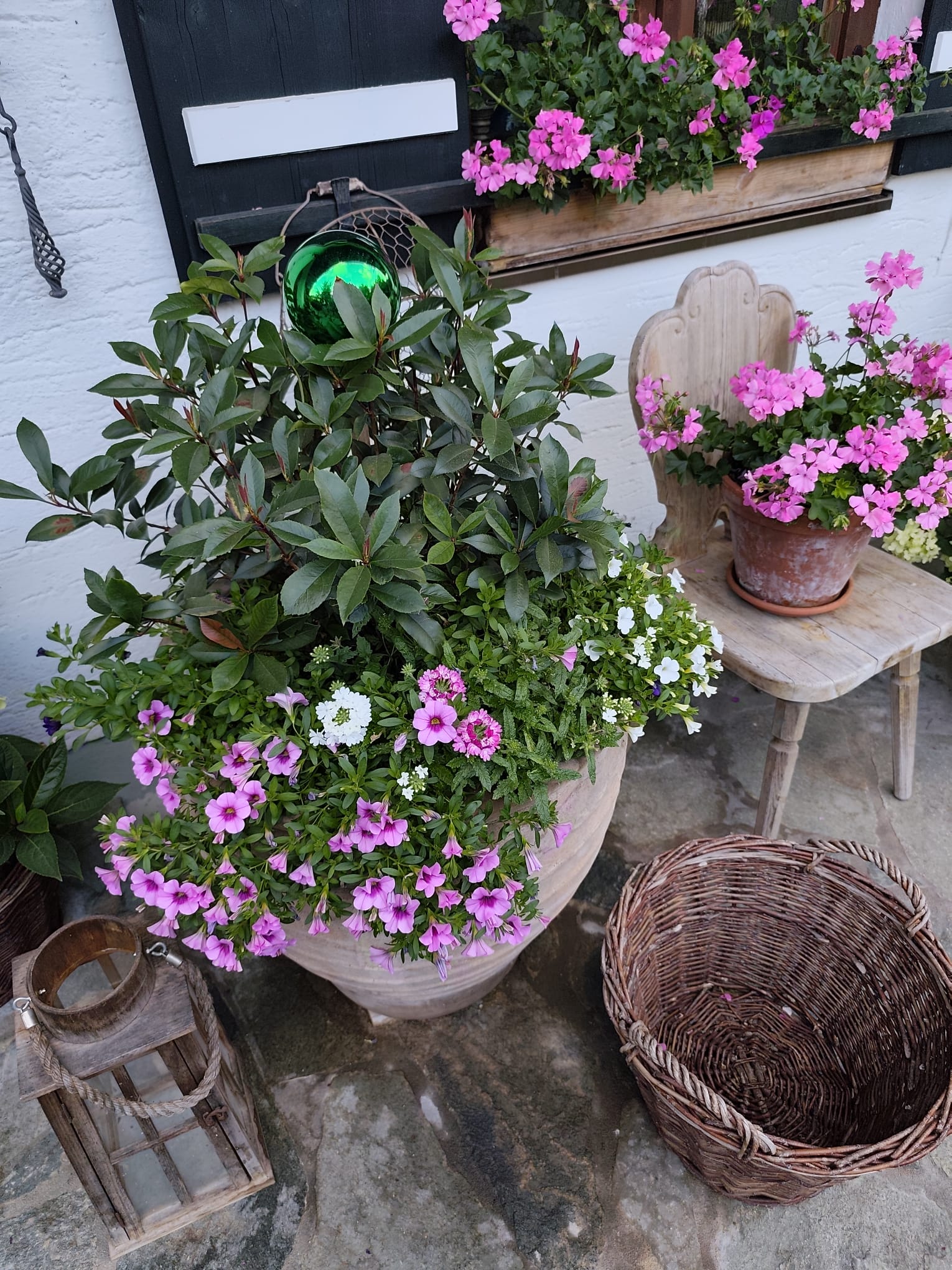 Gartenratsch